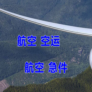 河池金城江航空托运快递-选东方航空和上海航空